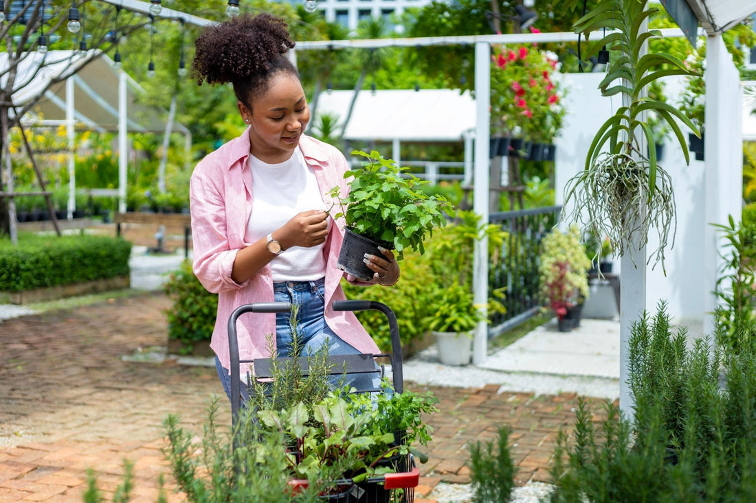 Woman selecting fresh herbs at an outdoor herb market for a guide to tulsi and holy basil